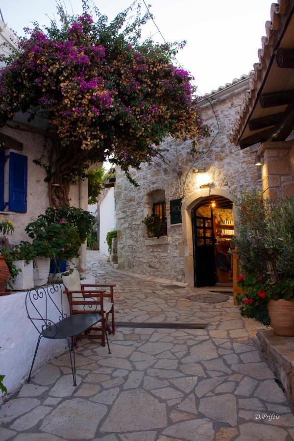 Villa Christine Afionas Corfu المظهر الخارجي الصورة