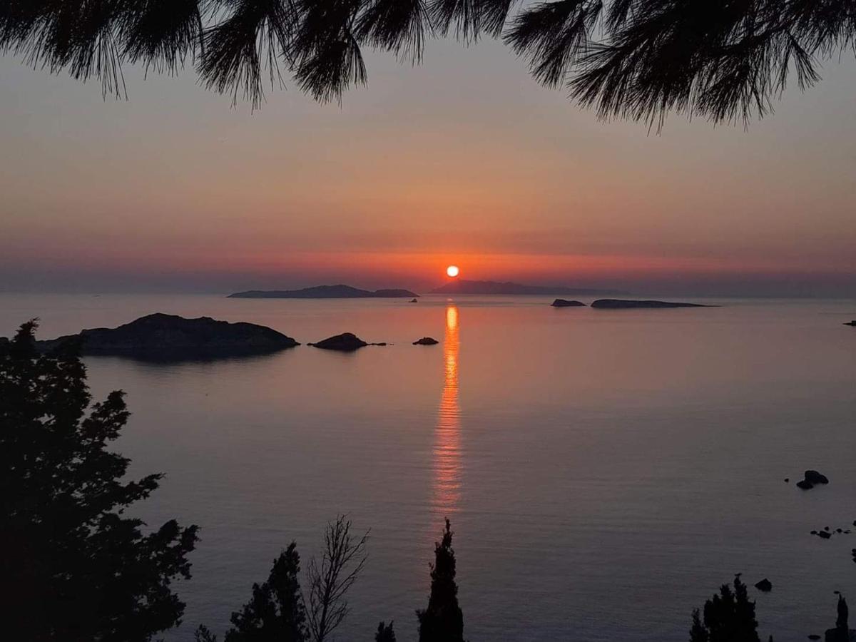 Villa Christine Afionas Corfu المظهر الخارجي الصورة